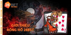 Giới Thiệu Rồng Hổ 28BET