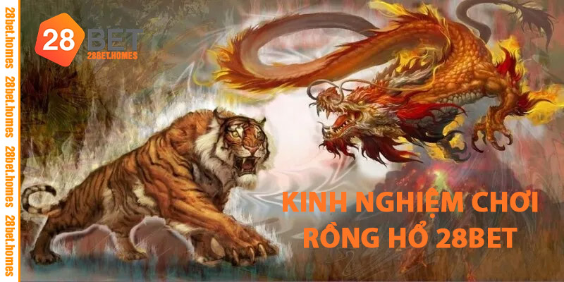 Kinh Nghiệm Chơi Rồng Hổ 28BET