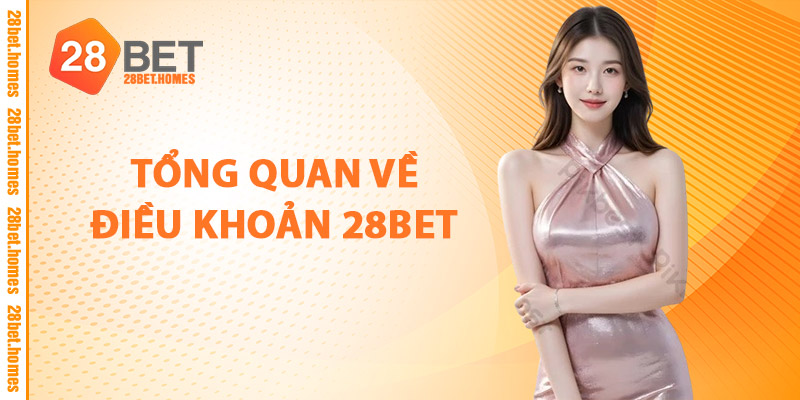 Tổng Quan Về Điều Khoản 28BET